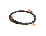 512590 Duke Harness,Oven Lights