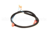 512590 Duke Harness,Oven Lights