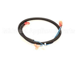 512590 Duke Harness,Oven Lights