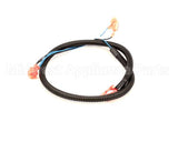 512590 Duke Harness,Oven Lights