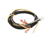 512764 Duke Harness,Proofer Tsc