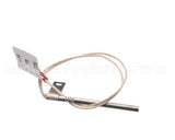 51516 Blodgett Probe,Rtd W/3/16 Terminal