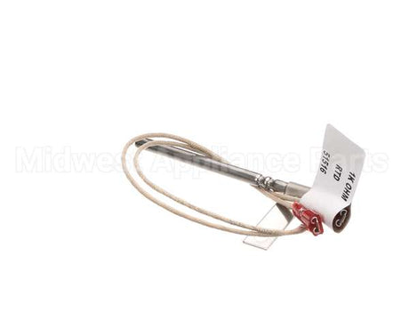 51516 Blodgett Probe,Rtd W/3/16 Terminal