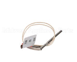51516 Blodgett Probe,Rtd W/3/16 Terminal