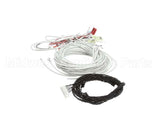 51539 Henny Penny Wire Assembly - Mp-943 Rh
