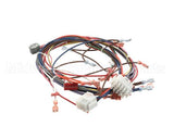 51751 Blodgett Harness,Front,Xr8-G,Ssd,2Spee