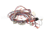 51995 Blodgett Harness,Xl50E Kfc 24V Relay Bo