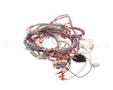 51995 Blodgett Harness,Xl50E Kfc 24V Relay Bo