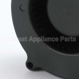 522006 Fisher Paykel Harness_Fan_Drying_605_300Ma