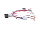 300124-CLE Cleveland Wire Harness;Mechanical Contro