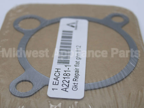 A22181-1 Armstrong International Gasket F/812,882