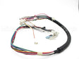 5304506794 Frigidaire Harness