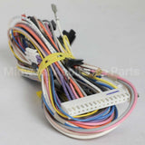 5304516119 Frigidaire Harness