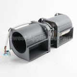 5304523280 Frigidaire Motor