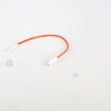 531591P Fisher Paykel Kit Electrode Spring & Clip