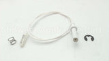 531679P Fisher Paykel Kit Electrode Wok Spring&Clip