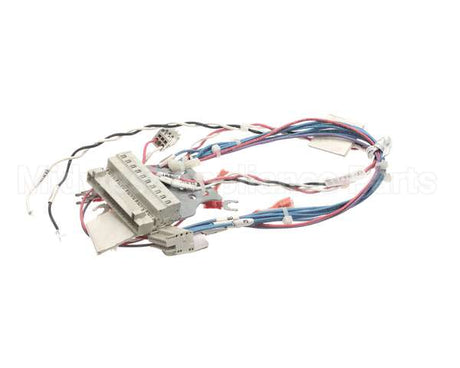 53230 Blodgett Harness,Combi Man Frt 24V
