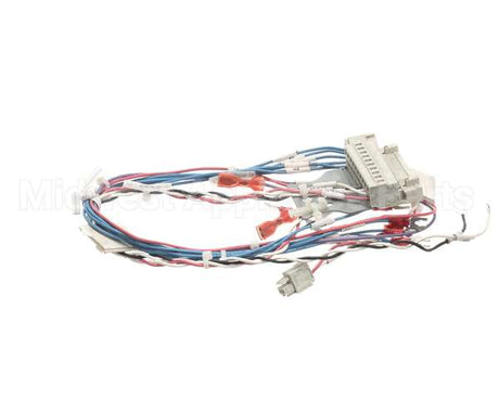 53230 Blodgett Harness,Combi Man Frt 24V
