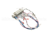 53230 Blodgett Harness,Combi Man Frt 24V
