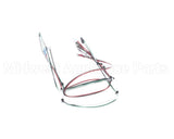 53283.0001 Bunn Wire Harness, Icb Sh Comm Board