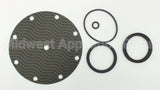 5346-01 Watts Repair Kit For 2" 116Xy