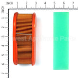 5419K Briggs & Stratton Air Filter W/ Pre Cle