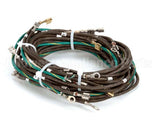 55049 Apw Wyott Wire Set Assembly-3 Well