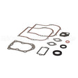 555210 Briggs & Stratton Gasket Set-Engine