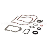 555210 Briggs & Stratton Gasket Set-Engine