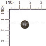 555550 Briggs & Stratton Retainer-Valve