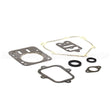 555631 Briggs & Stratton Gasket Set-Engine