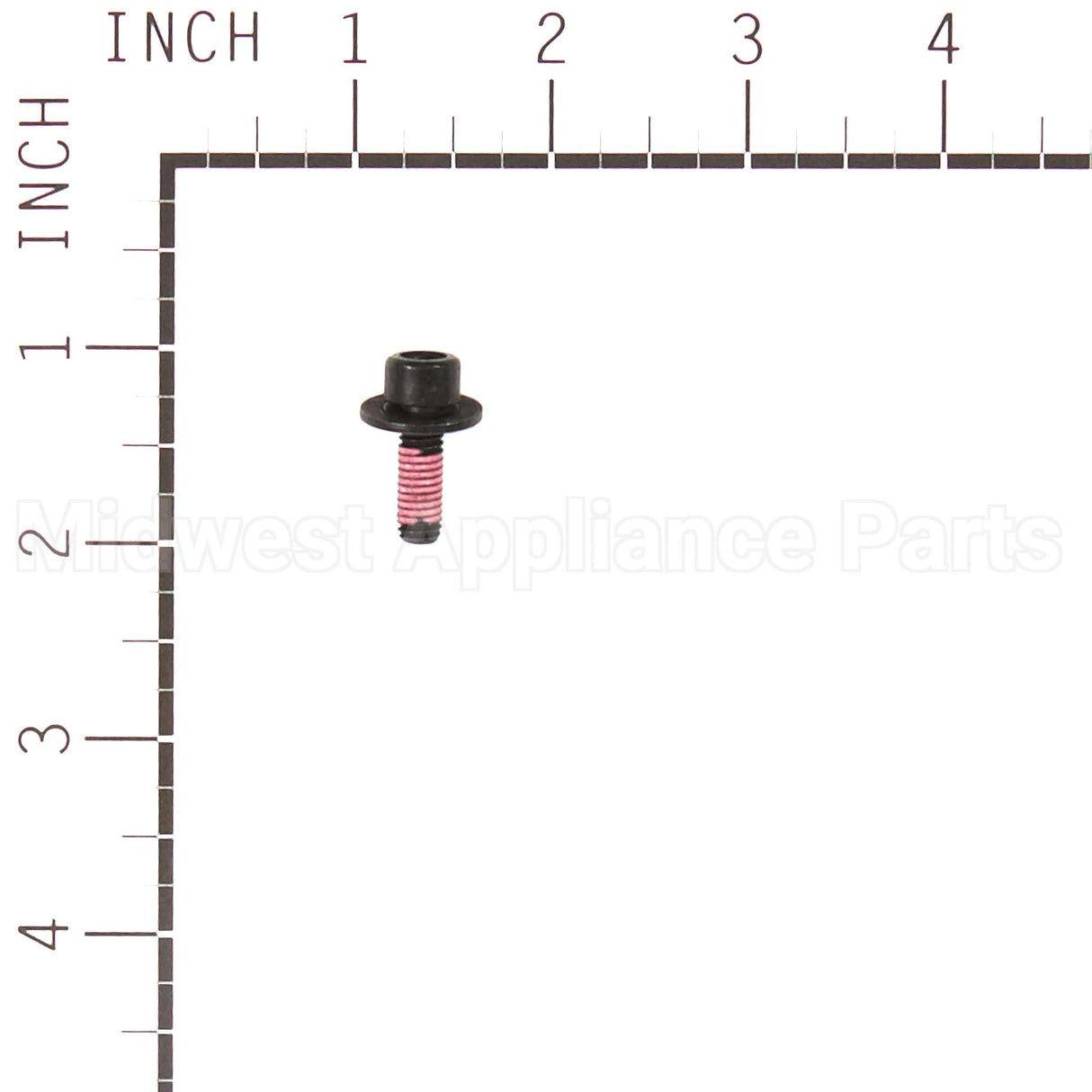 555644 Briggs & Stratton Screw