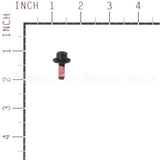 555644 Briggs & Stratton Screw