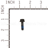 555646 Briggs & Stratton Screw/Nut Set