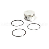 555660 Briggs & Stratton Piston Assembly