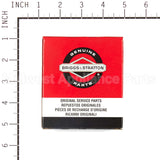 555666 Briggs & Stratton Ring Set-020