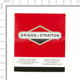 555699 Briggs & Stratton Panel