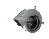 55864 Blodgett Blower Assembly,Drilled,208V/240V