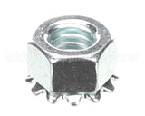 5592 Nieco Kep Nut