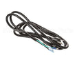 130205 Globe Power Cord Assembly Nsf8