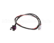 5700-004-33-62 Jackson Harness Psi / Transducer
