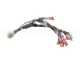 57481 Blodgett Harness,Frt Neeo Man