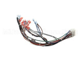 57481 Blodgett Harness,Frt Neeo Man