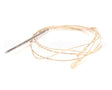 57562 Blodgett Probe,Temp W/Lit 1K Rtd