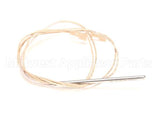 57562 Blodgett Probe,Temp W/Lit 1K Rtd