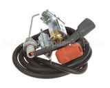 57659 Blodgett Kit,Pilot Assembly W/Wire Pg Ha