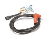 57661 Blodgett Kit,Pilot Assembly W/Wire Pg Ha