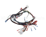57856 Blodgett Harness,Dfg-Es, Control Ssd