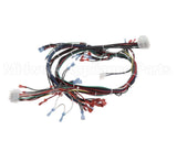57856 Blodgett Harness,Dfg-Es, Control Ssd
