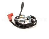 58100 Blodgett Kit,Pilot Assembly W/Wire Ng Ha